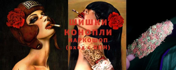 PSILOCYBIN Алексин