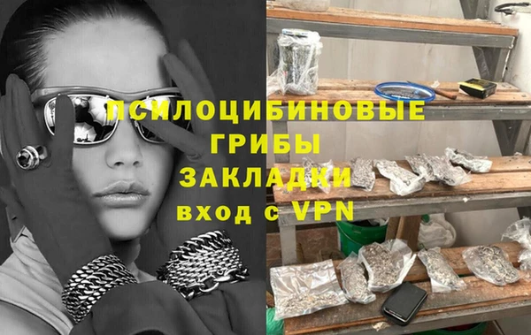 крисы Алзамай