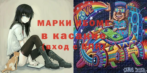 крисы Алзамай
