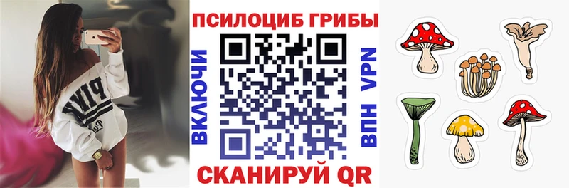 KRAKEN tor Балашиха Псилоцибиновые грибы MAGIC MUSHROOMS