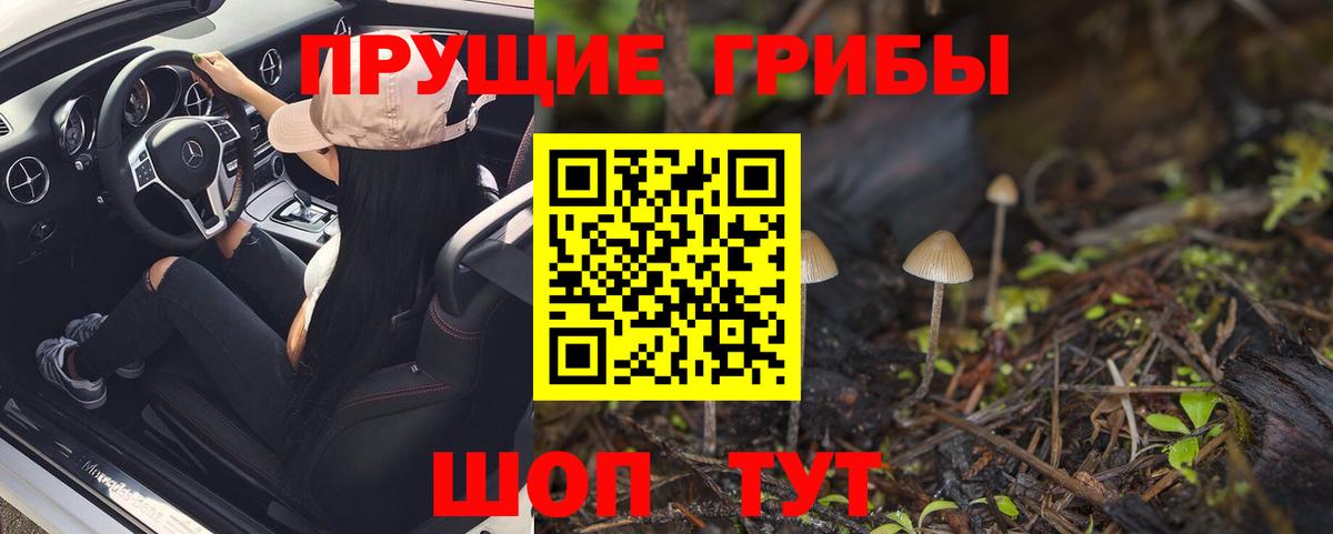 Галлюциногенные грибы Cubensis Балашиха